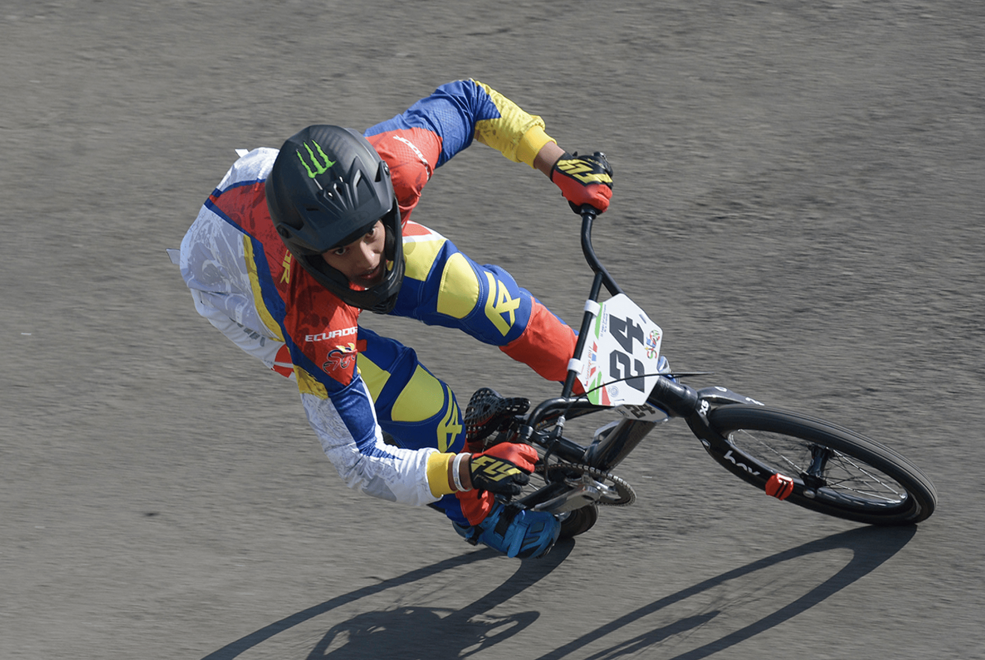 Licencia TMR durante 1 mes