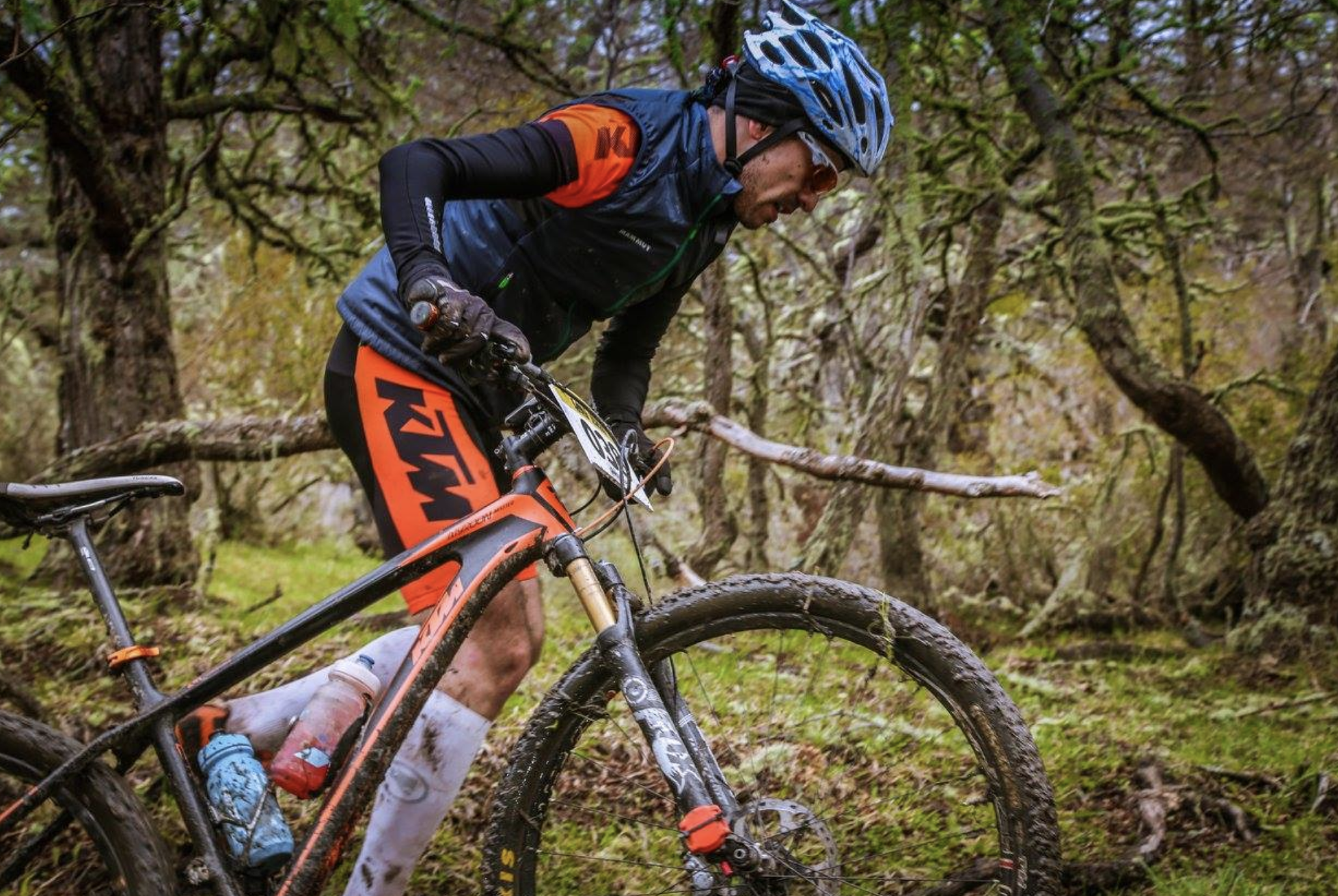 Licencia TMR durante 6 meses